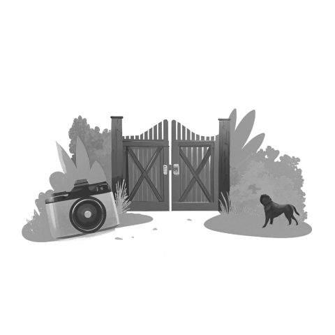 Gate Photos