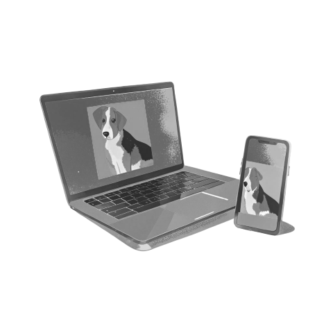 Customer Portal